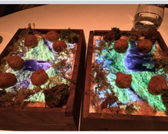 A Restaurant in San Fransisco is Plating Food on iPads