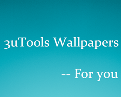 The Most Popular Wallpapers of 3uTools in this Week