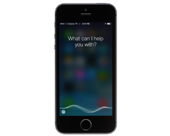 Why iPhone Users Should NEVER Say 108 to Siri