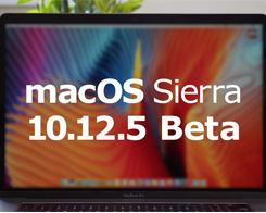 Apple Seeds First Public Beta of MacOS 10.12.5 to Public Beta Testers