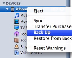 How to Securely Back Up your iPhone to iCloud or iTunes?