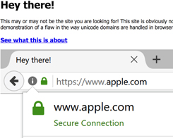 Chrome, Firefox, and Opera Users Beware: This isn’t the Apple.com You Want