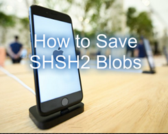 Two Ways to Save Your SHSH2 Blobs