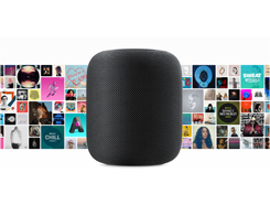70M American Adults 'Interested' In Buying Apple's New HomePod
