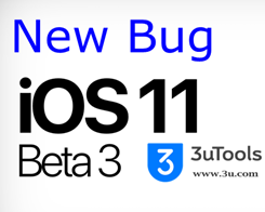 New Bug on iOS 11 Beta3