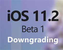 You Can Downgrade iOS11.2 Beta to iOS 11.0.1, iOS11.0.2, iOS 11.0.3 Or iOS 11.1