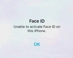 Face ID Not Working on iPhone X After Updating to iOS 11.2?