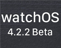 Apple Seeds Fourth Beta of watchOS 4.2.2 to Developers