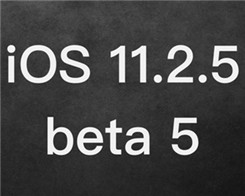 How to Upgrade iPhone / iPad to iOS 11.2.5 beta5?