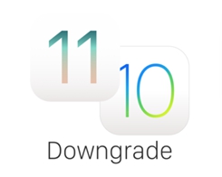 DowngrA7e: Downgrade Your A7 iDevice to 10.3.3 With SHSH2 Easily
