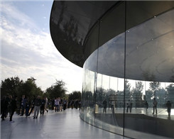 Three Apple Workers Hurt Walking into Glass Walls in First Month at $5bn HQ