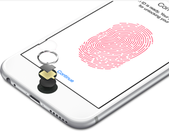 Report Examines How Police Use Fingerprints of Dead People to Unlock iPhones