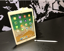 Apple iPad Expands to 28.8% in Contracting Tablet Market