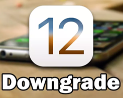 How to Downgrade iOS 12 Beta, iOS 11.4 to iOS 11.3.1?
