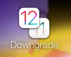 How to Downgrade iOS 12.0 to iOS 11.4.1 on 3uTools?