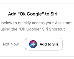 You Can Now Say ‘Hey Siri, Ok Google’ to Use Google Assistant on the iPhone