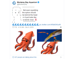 Apple's Squid Emoji Isn't Quite Right, As Aquarium Highlights