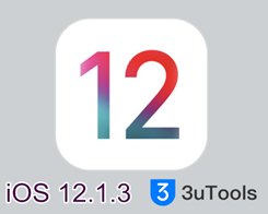 How to Downgrade iOS 12.1.3 Using 3uTools?  ​