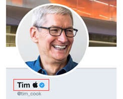 Tim Cook Changes Twitter Name to 'Tim Apple' in Response to Trump Gaffe