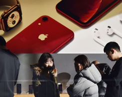 Search Trends in China Show Interest in IPhone Down Nearly 50%