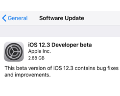 First iOS 12.3 Beta is Available on 3uTools