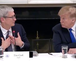 Trump: Apple's Tim Cook Believes Economic Recovery Will be V-Shaped