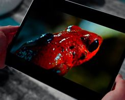 OLED Could Replace TFT Screens on iPads in 2022