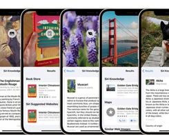 iOS 15: How to Use Visual Lookup in Photos to Identify Landmarks, Plants, and Pets