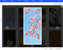 How to Download Wallpaper on 3uTools?