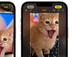 iOS 17 Photos App Features One-Tap Crop Button When Zooming In