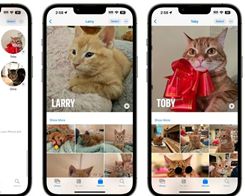 iOS 17 Photos App Recognizes Your Pets