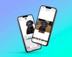 How to Instantly Remove the Background From Any Image on iOS