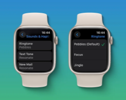 watchOS 11 Finally Lets Users Change Their Apple Watch Ringtone