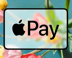 Future of Apple Pay Could be Digital Keys For Rental Cars, Says Apple Pay Executive