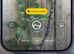 iOS 27 gives the Camera app on iPhone a brand new mode