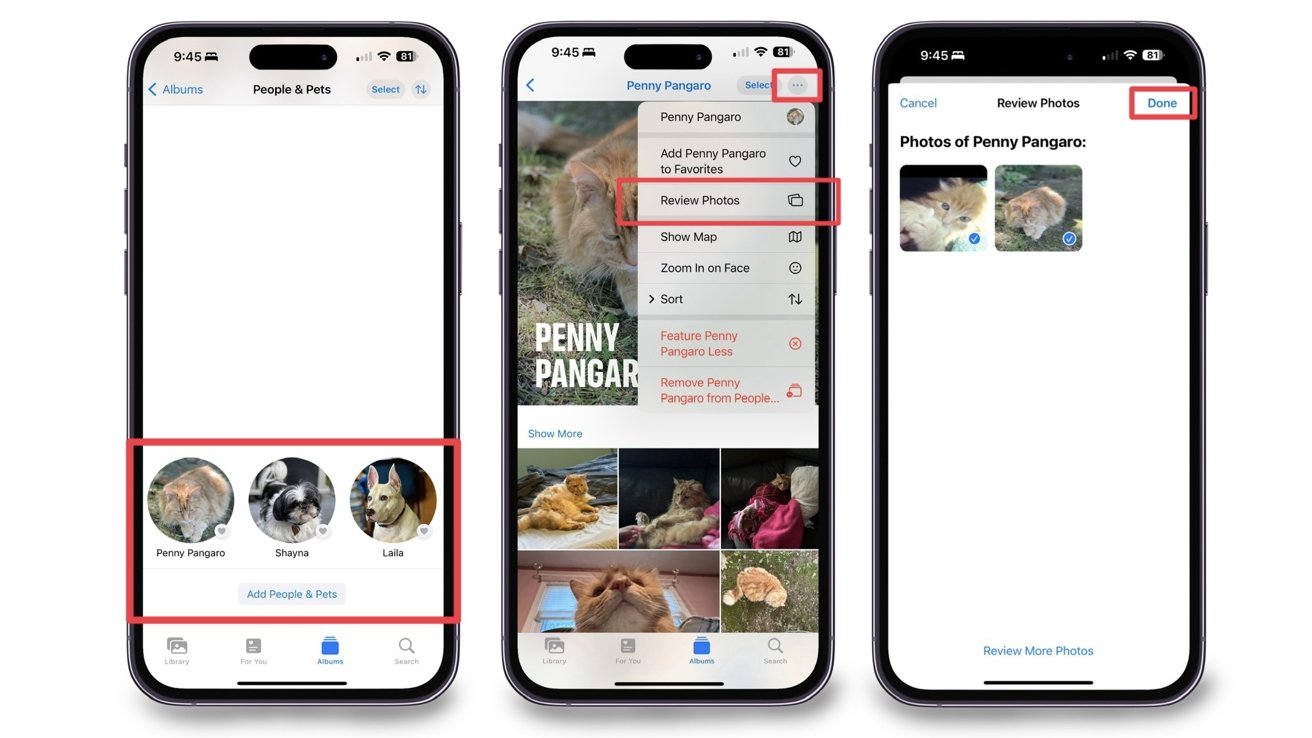 How to Tag Pets in Photos in iOS 17