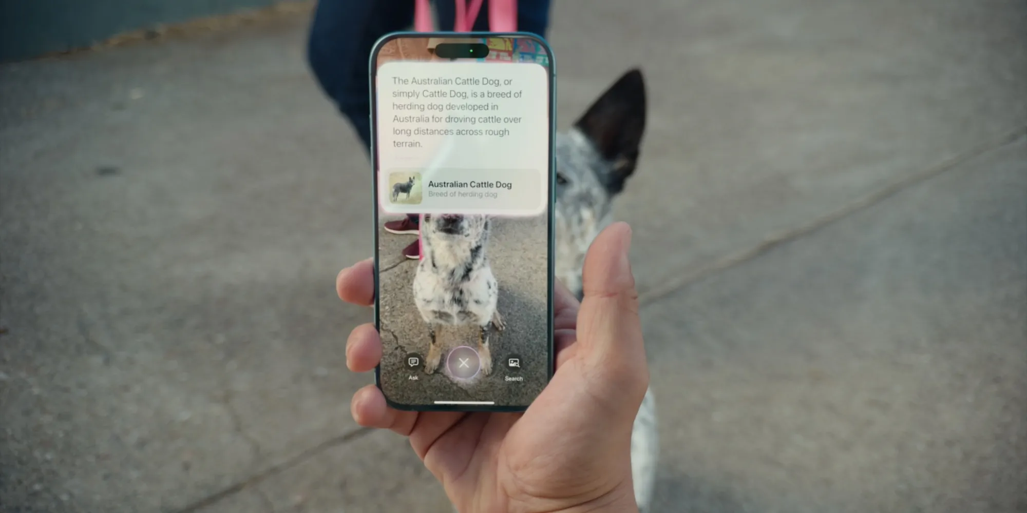 AirPods with Cameras Would Be a Good Match for the Promised Contextual Siri