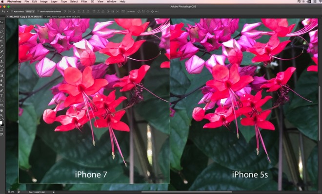Rare reports of poor image quality on iPhone 7 Plus circulate