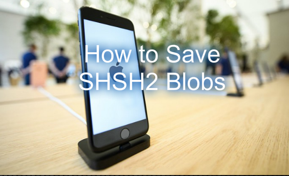 Why and How to Save SHSH2 Blobs For iOS 10.2 Jailbreak?