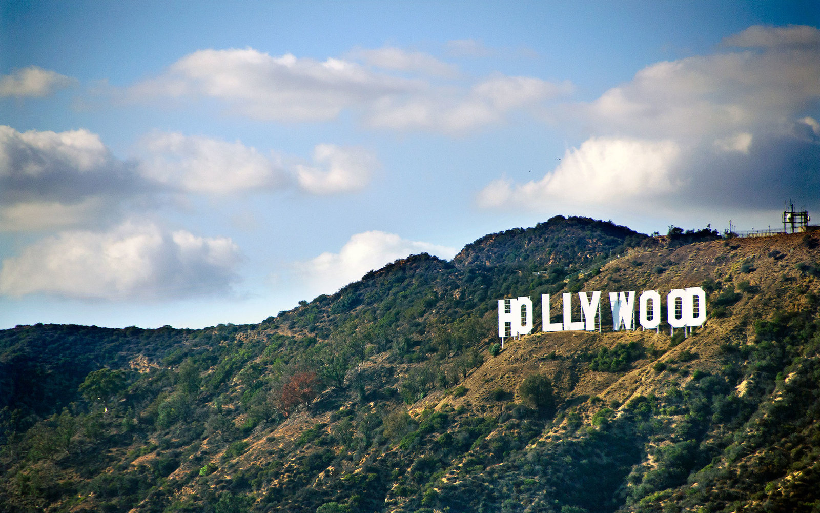 Apple Sets Its Sights on Hollywood With Plans for Original Content