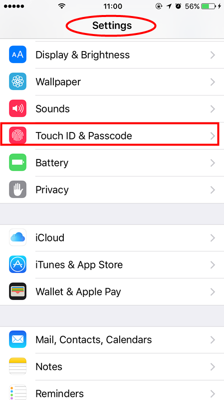 How to Enable Data Protection on Your iPhone 7?