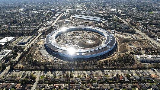 Apple is Buying so Many Trees for its California Campus, Competition is Reportedly Getting Cutthroat