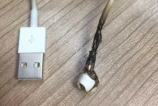 Apple iPad Charger 'Could Have Set My House On Fire', Says Hull Dad 