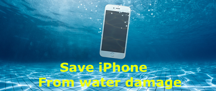 How to Save an iPhone/ iPad From Water Damage?