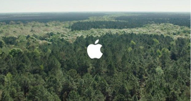 Apple Protected Forestland to Cover Its Paper Packaging