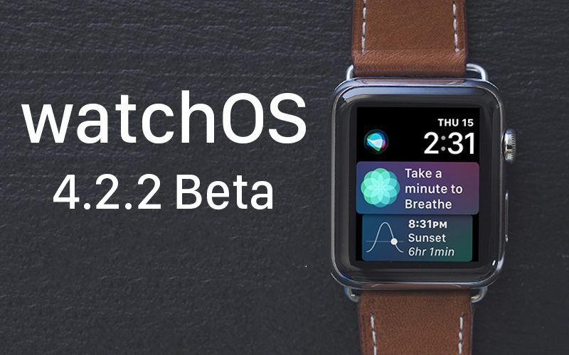 Apple Seeds Fourth Beta of watchOS 4.2.2 to Developers