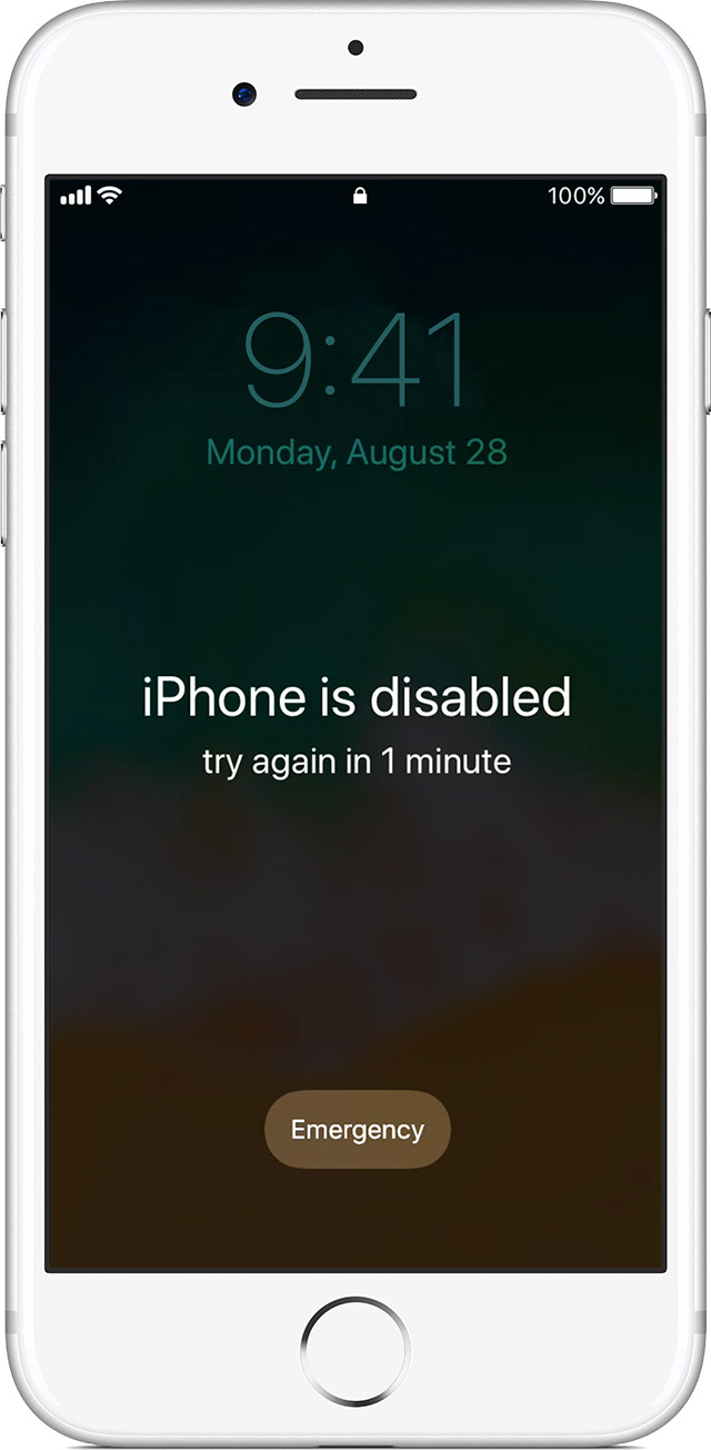 Toddler Disables Mom's iPhone for '48 years'