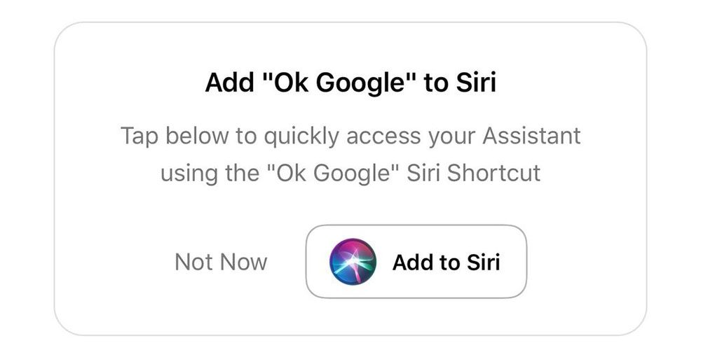 You Can Now Say ‘Hey Siri, Ok Google’ to Use Google Assistant on the iPhone