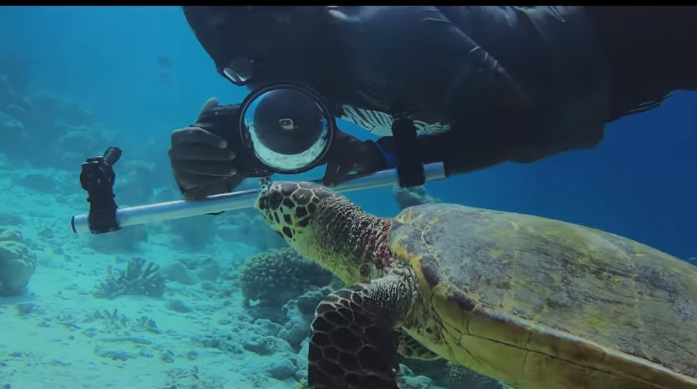 ‘Shot on iPhone’ Mini-documentary Goes Under the Sea