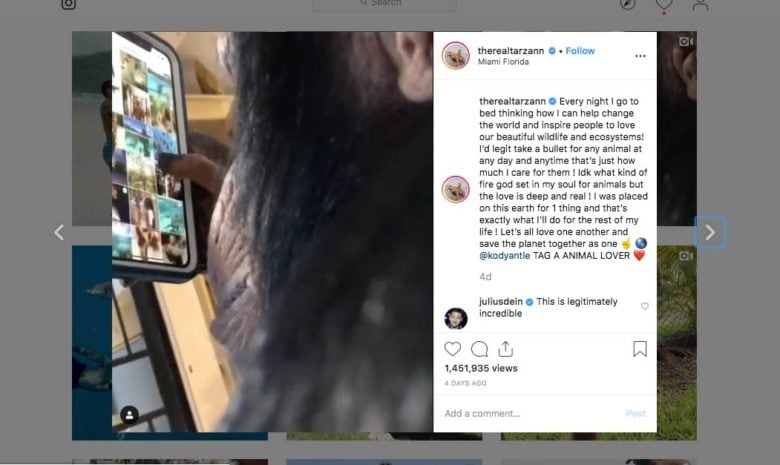 Chimp Scrolling Instagram on iPhone Proves it’s just Like Us